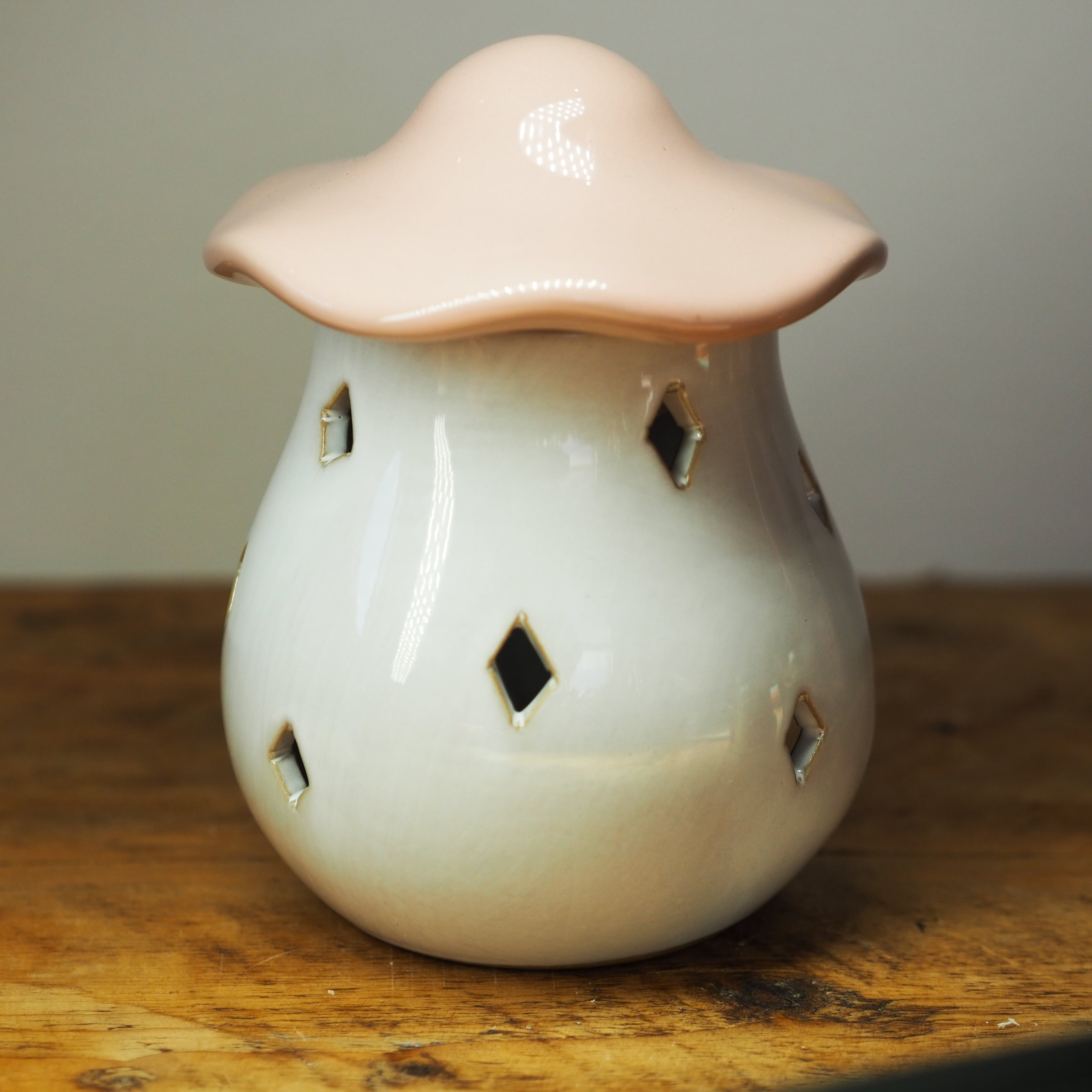 Mushroom wax melter