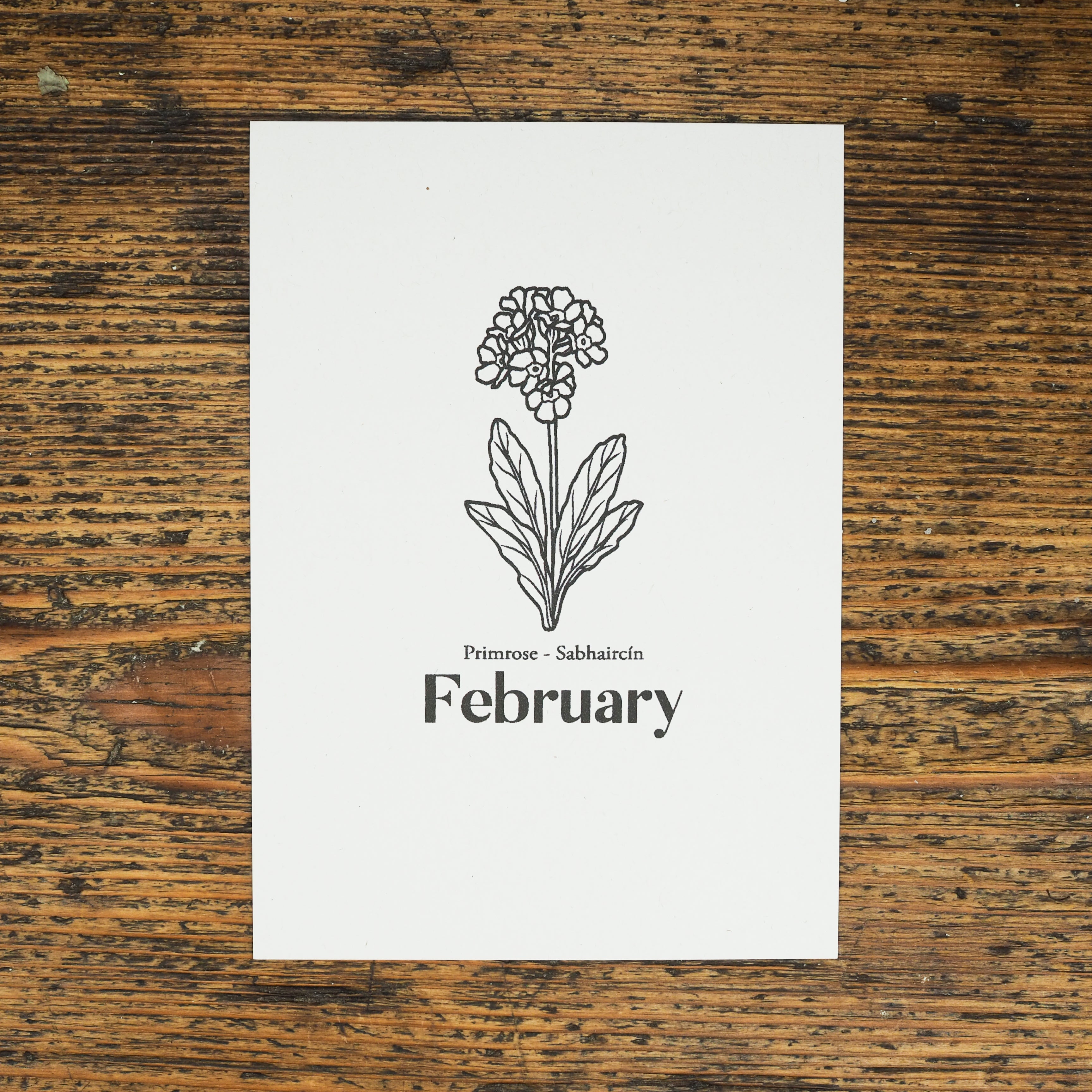 Primrose - February Birth Flower Candle