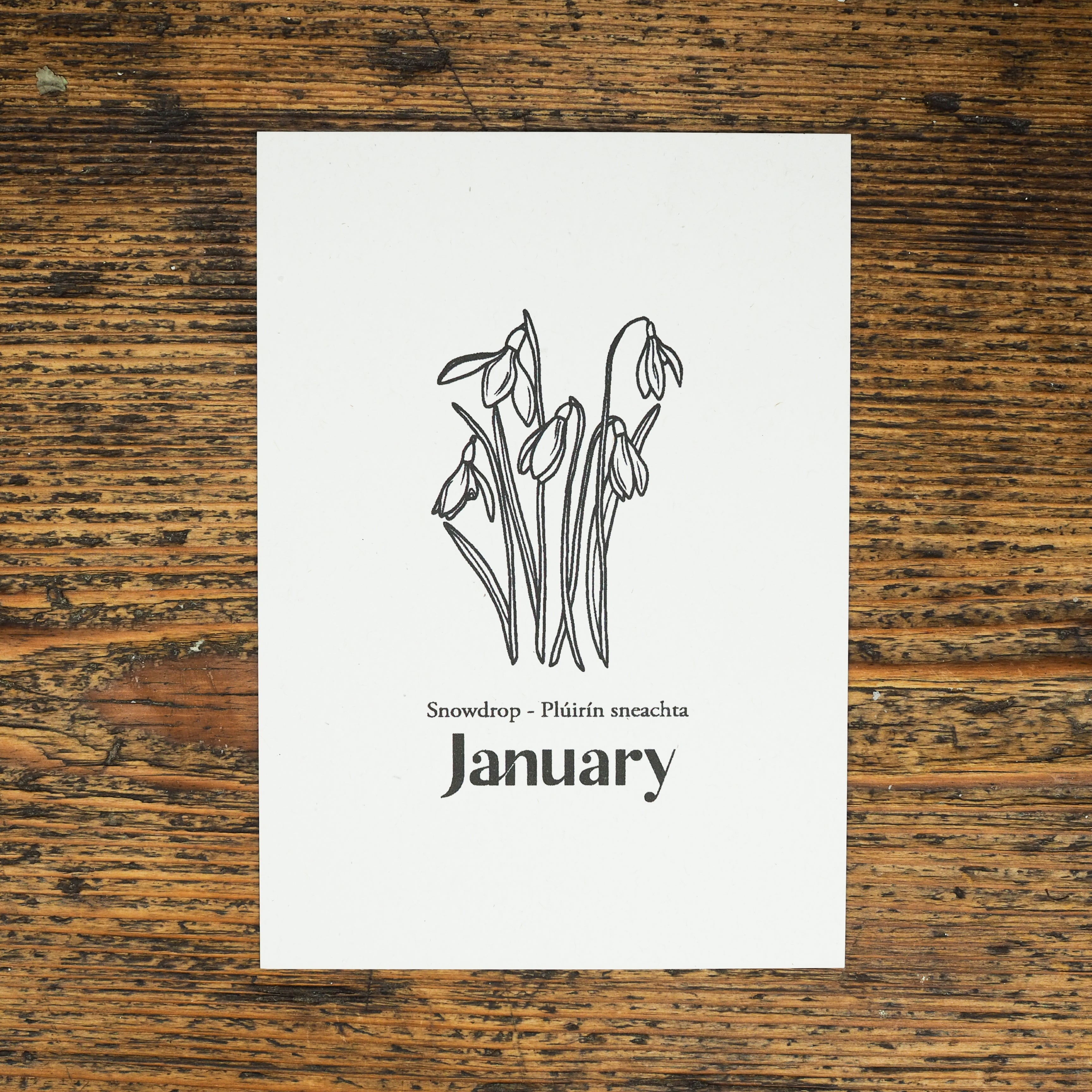 Snowdrop - January Birth Flower Candle