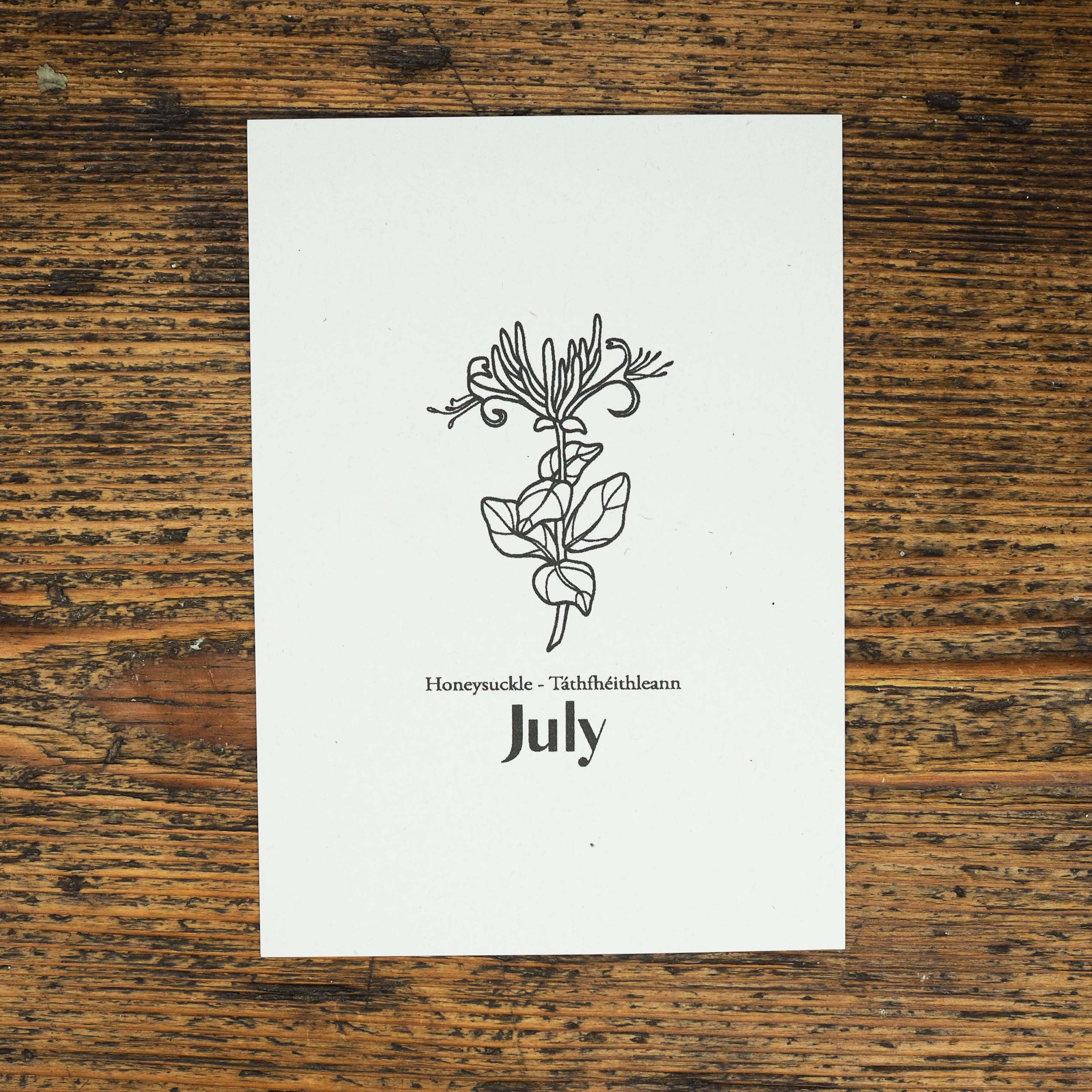 Honeysuckle - July Birth Flower Candle