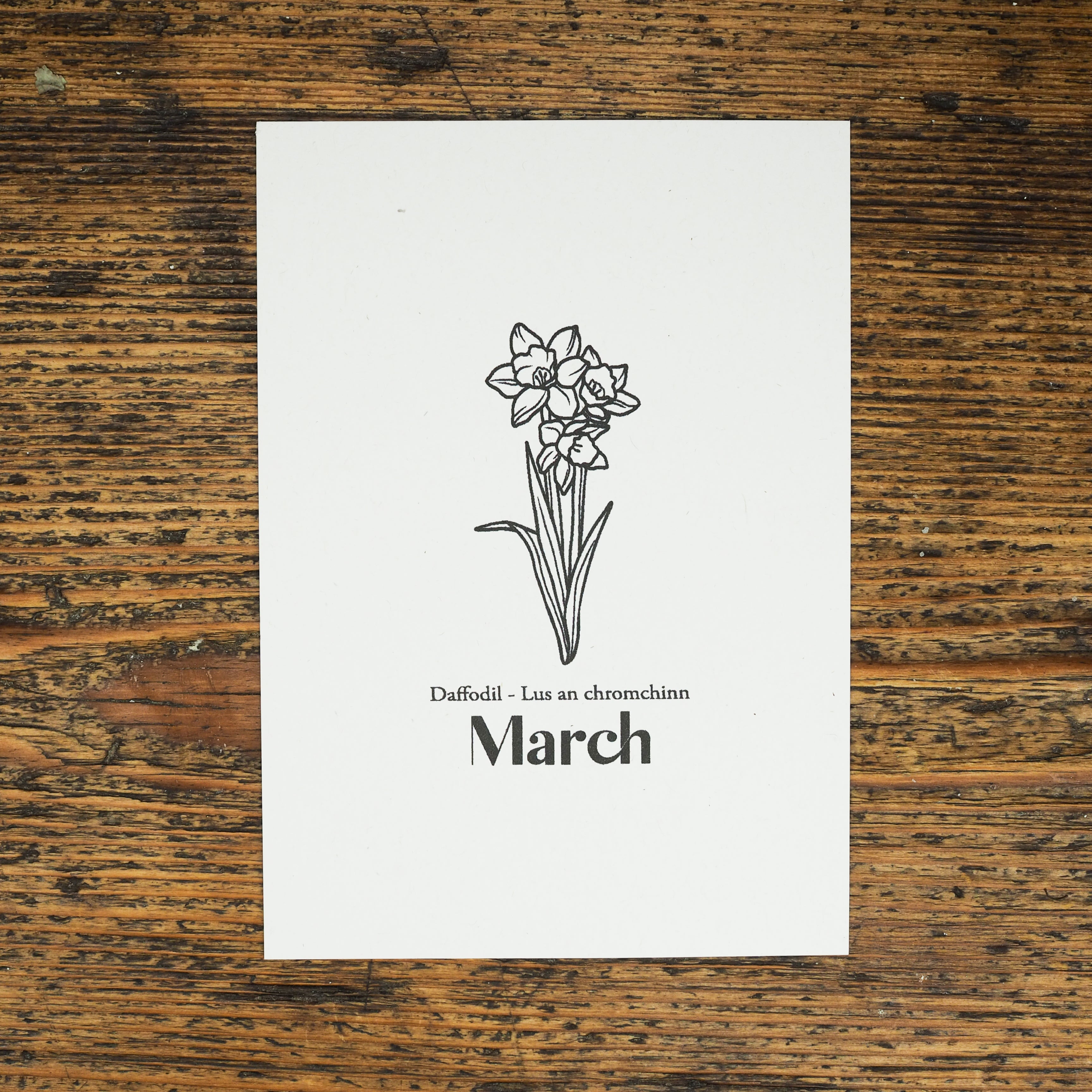 Daffodil - March Birth Flower Candle