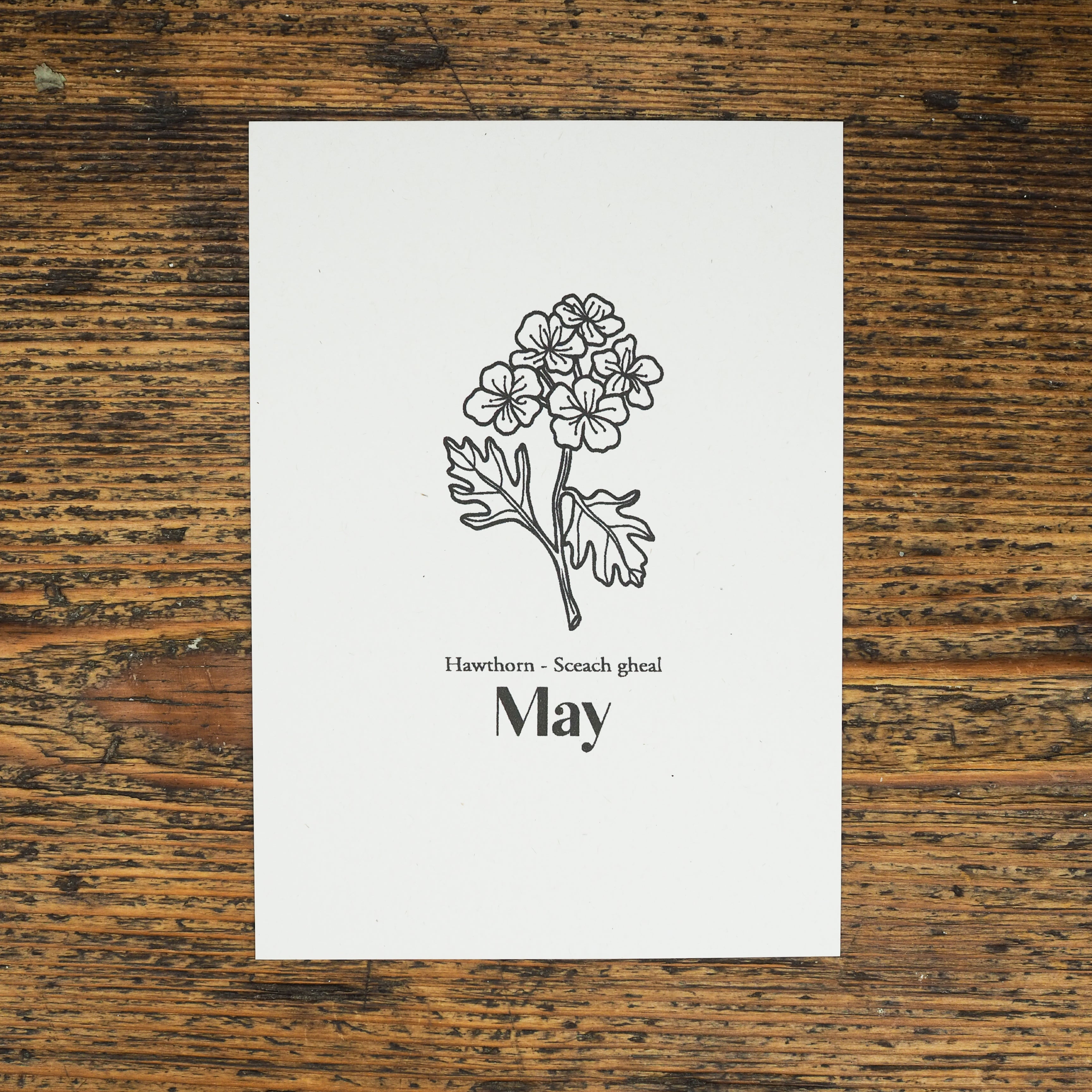 Hawthorn - May Birth Flower Candle