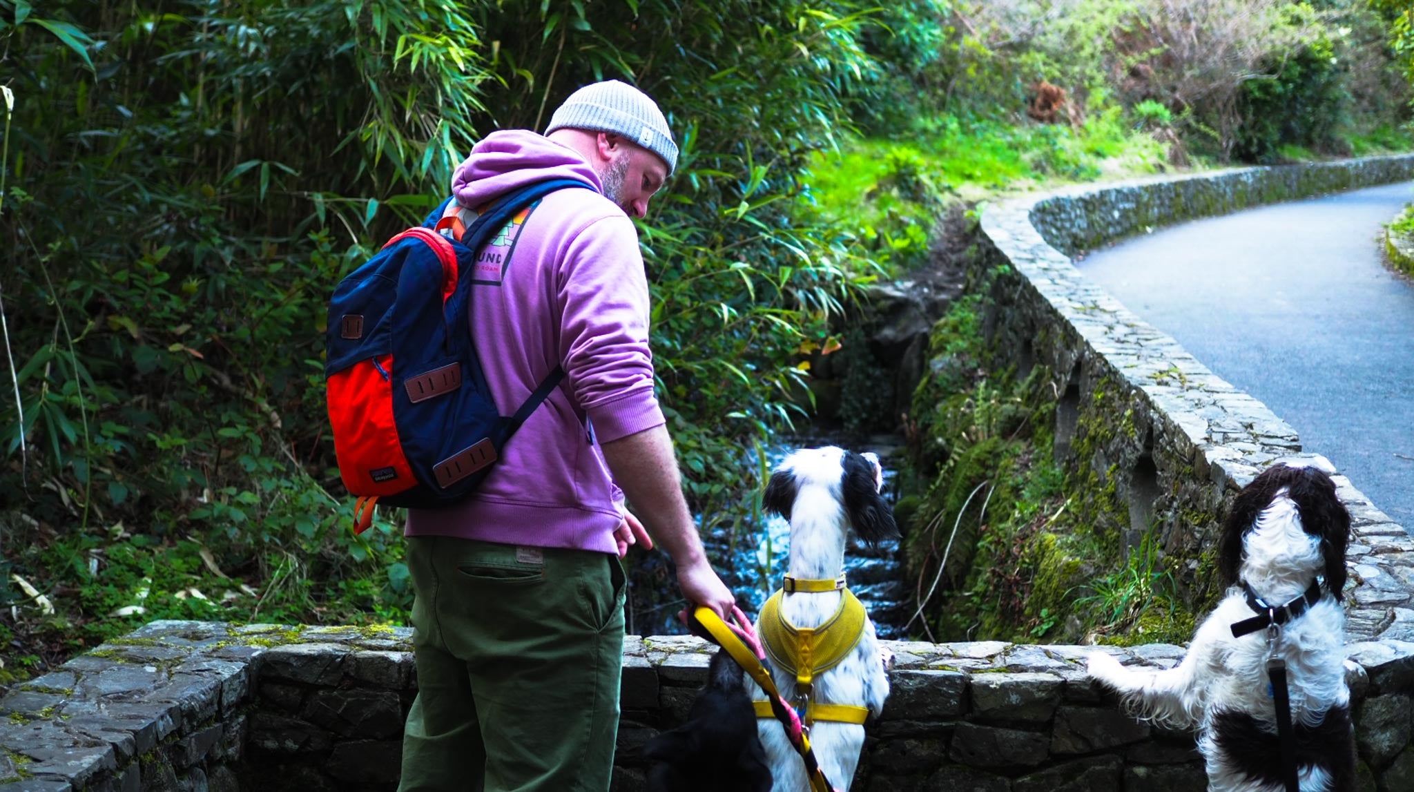 A photot of Michael, Teddy and Bridie all at a bride in Tollymore Forest park.