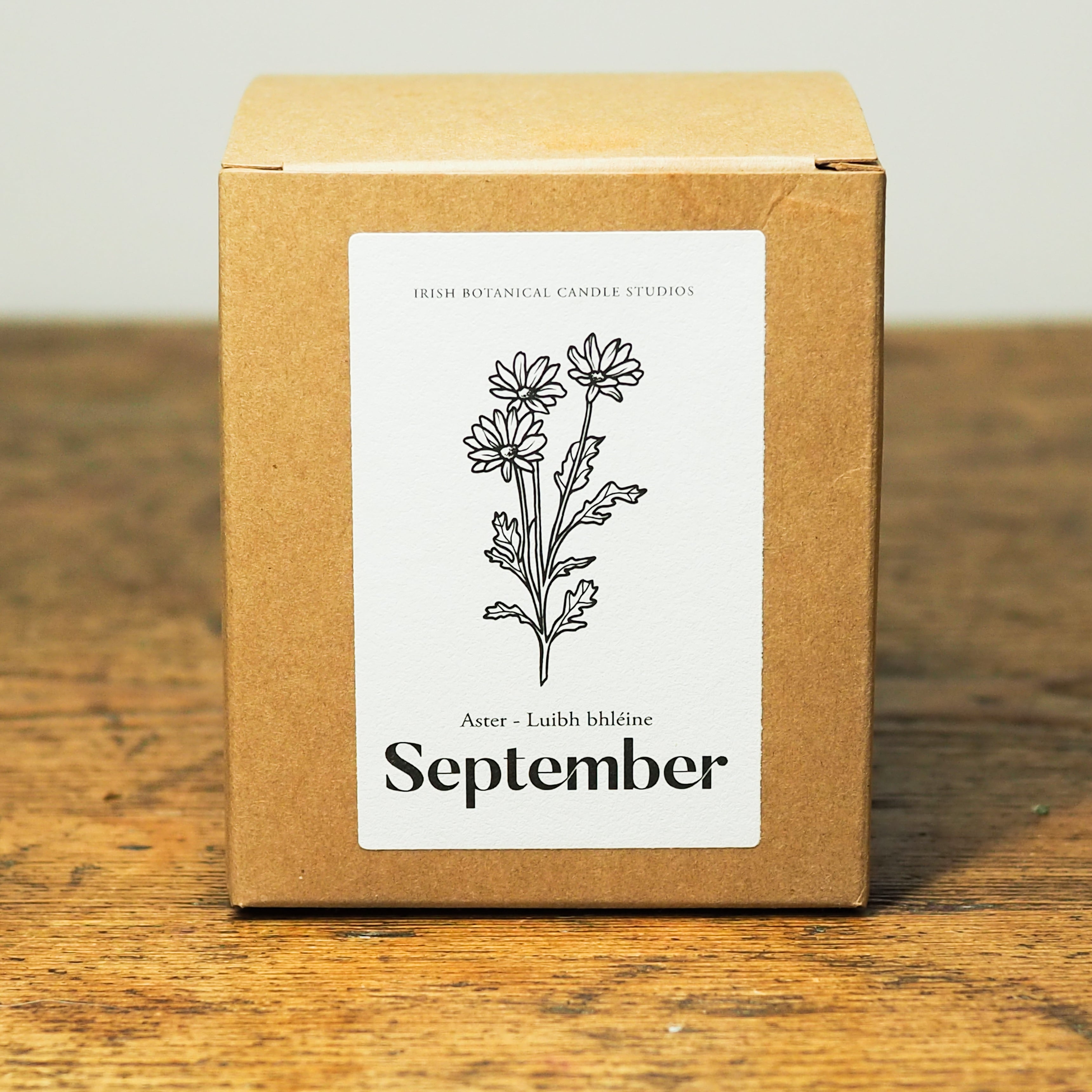 Aster - September Birth Flower Candle